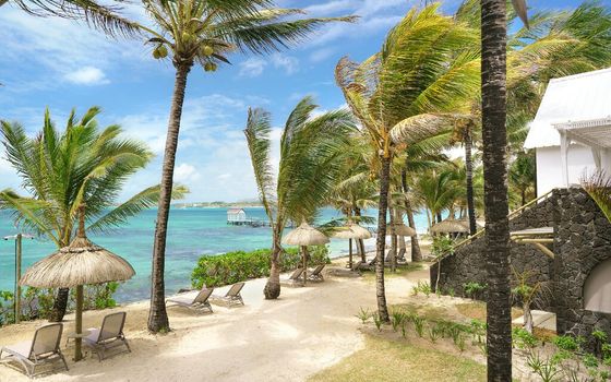 Tropical Attitude (From Backup: May 18) - 2