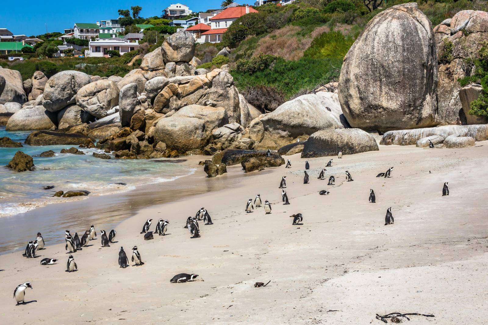 Group Tour Cape Town (From Backup: May 18)
