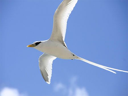 Full-Day Catamaran Trip to Gabriel Island gallery 9