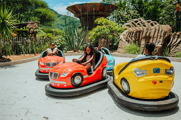 Casela Nature Parks gallery 6