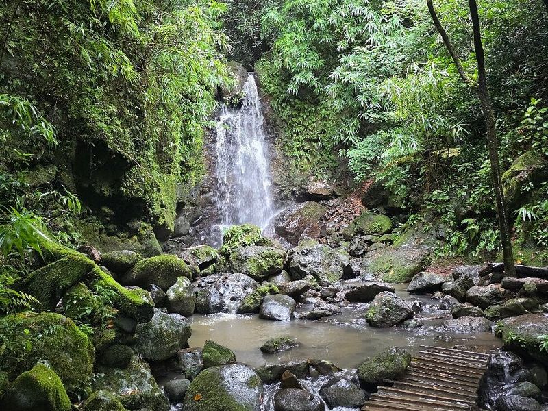 Vallé Advenature Park Entrance Ticket (From Backup: May 18) gallery 2