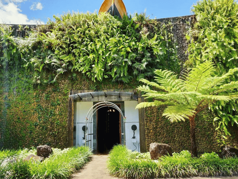 The Curious Corner of Chamarel gallery 1