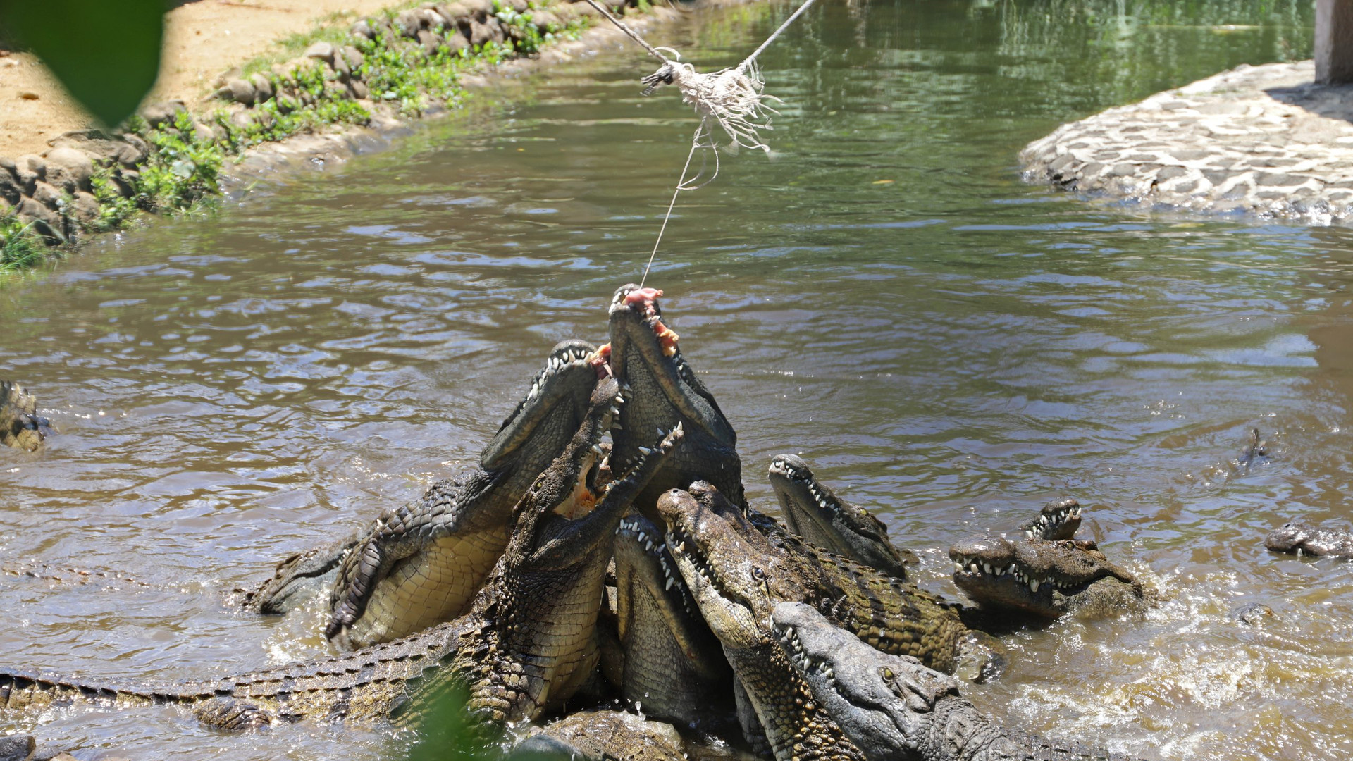 LA VANILLE NATURE PARK