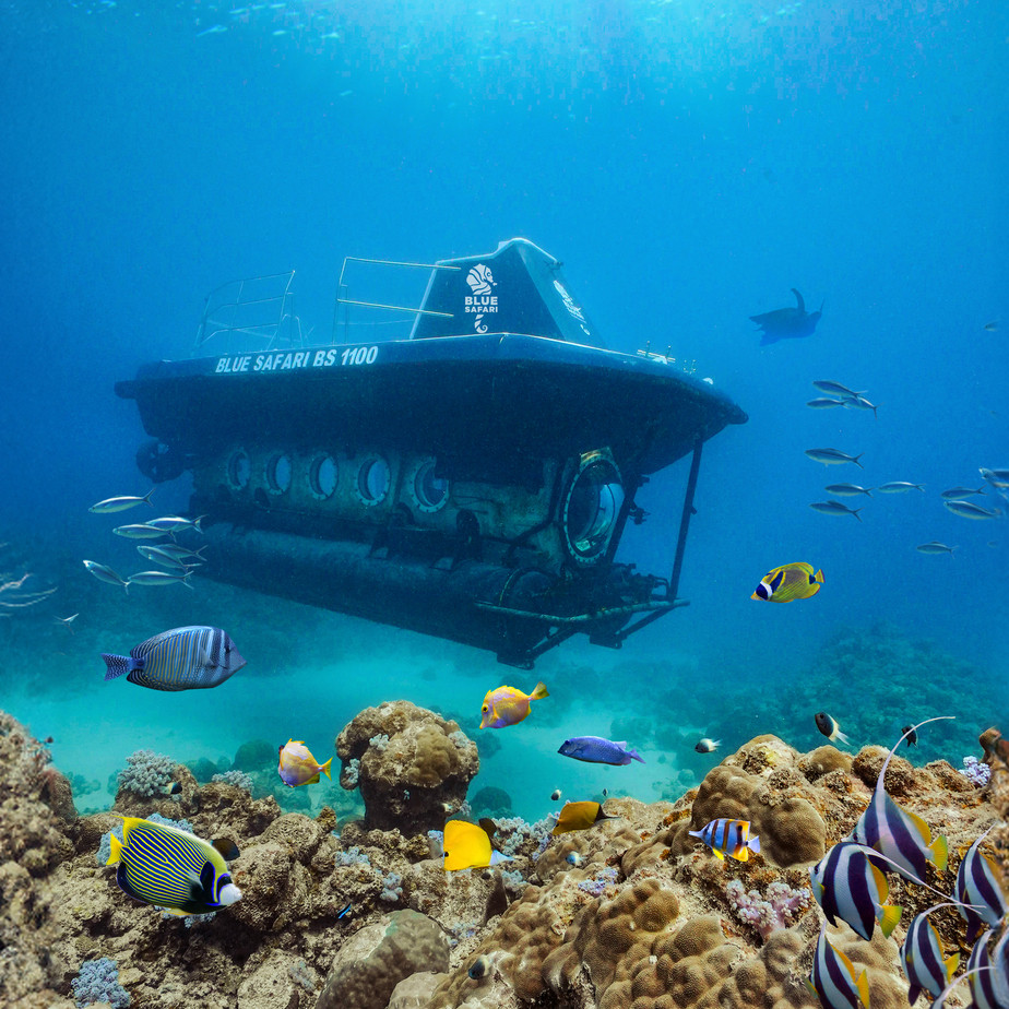 Blue Safari Submarine