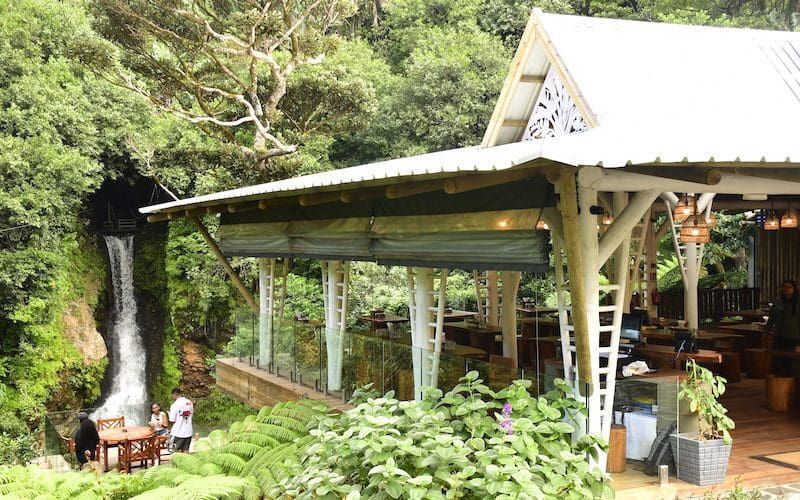 Zipline Adventures - Vallé Advenature Park gallery 3