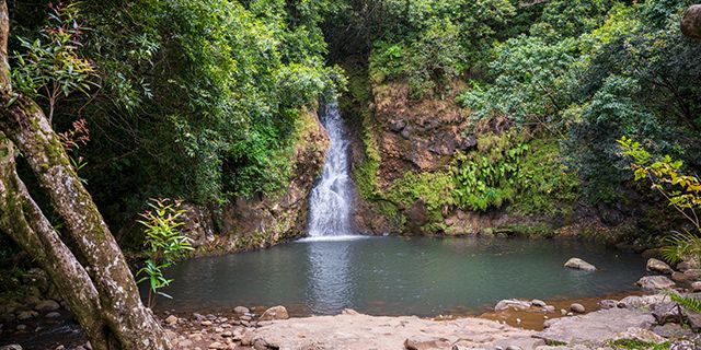 Zipline Adventures - Vallé Advenature Park gallery 4