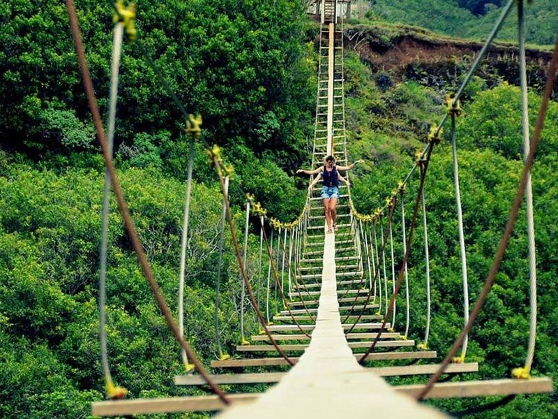 Nepalese Bridge - Vallé Adventure Park gallery 2