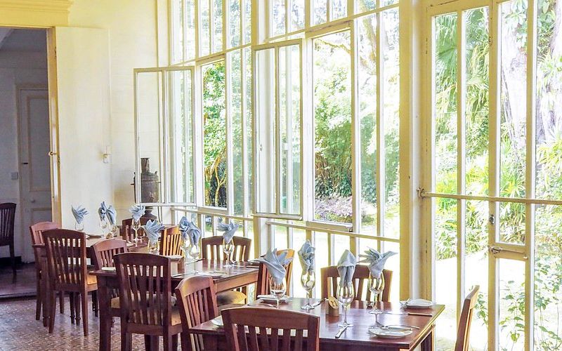 Visit & Lunch - Domaine Des Aubineaux
