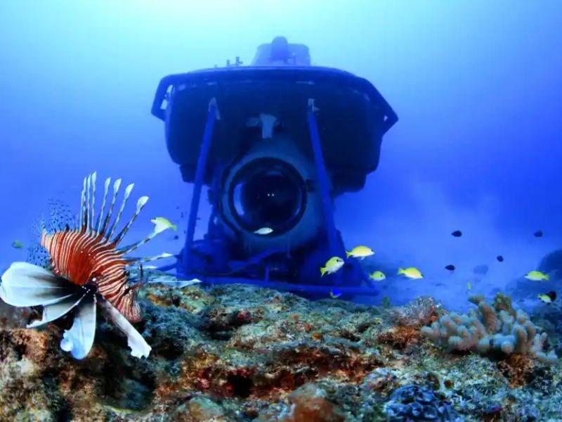Blue Safari Submarine gallery 1