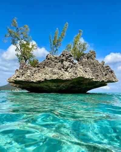Speedboat Adventure to Benitiers Island gallery 2