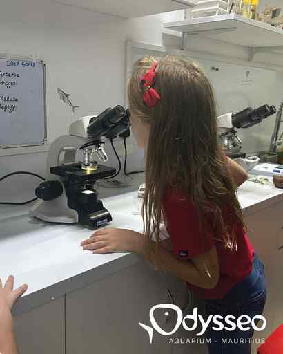 Odysseo | One Day As A Biologist