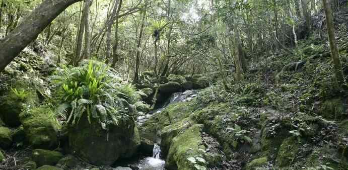 Ferney Conservation Park  Guided Tour gallery 1