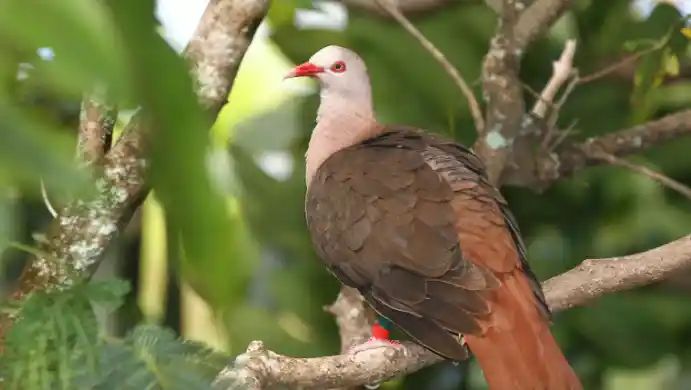 Ferney Conservation Park  Guided Tour gallery 2