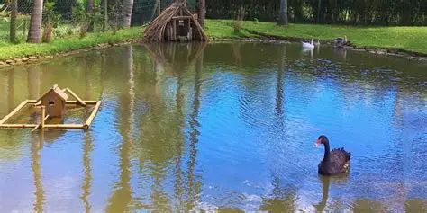 Visit & Lunch - Le Domaine de Saint Aubin gallery 1