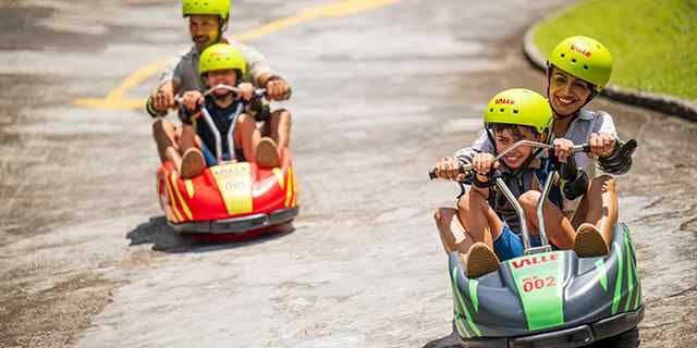 Luge & Zipline Thrill - Valle Advenature Park gallery 2