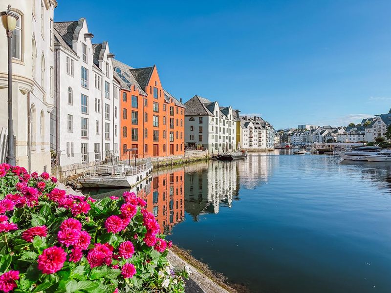 NORWEGIAN PRIMA gallery 6